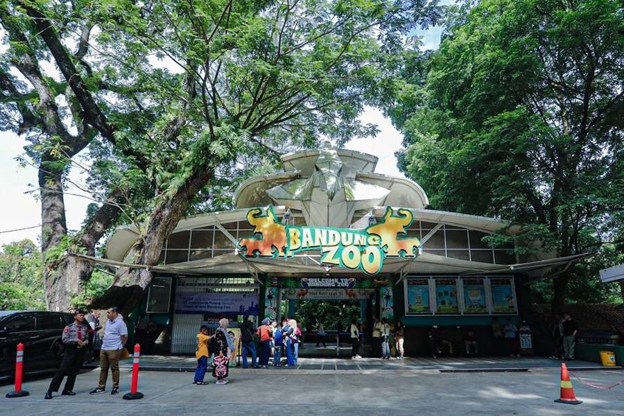 BKSDA Buka Opsi Pindahkan Satwa Bandung Zoo ke Lembaga Konservasi