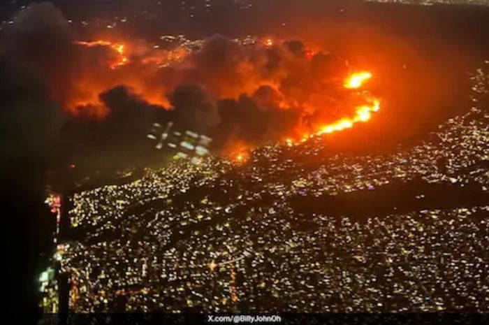 Riset: Perubahan Iklim Mengakibatkan Kebakaran Hutan Meningkat Secara Global