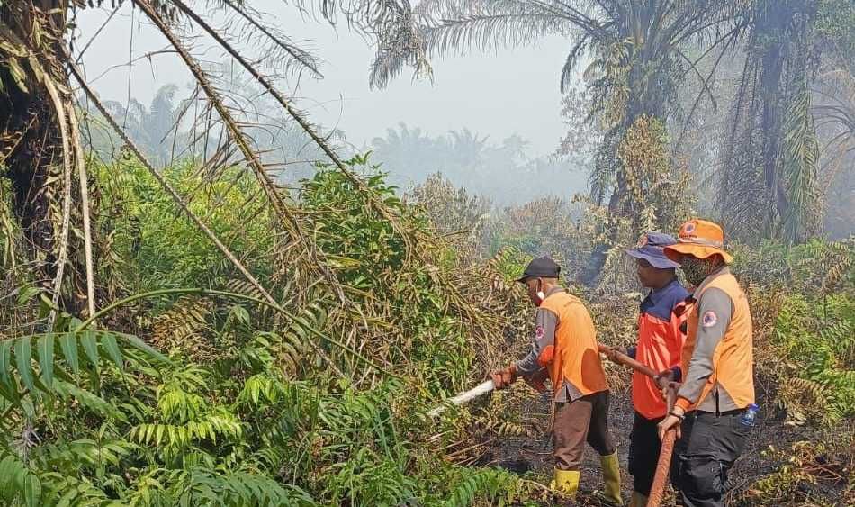 Pengadilan Telah Putuskan Denda Rp18 Triliun untuk Korporasi Penyebab Kebakaran Hutan dan Lahan, Tapi Eksekusinya Lambat
