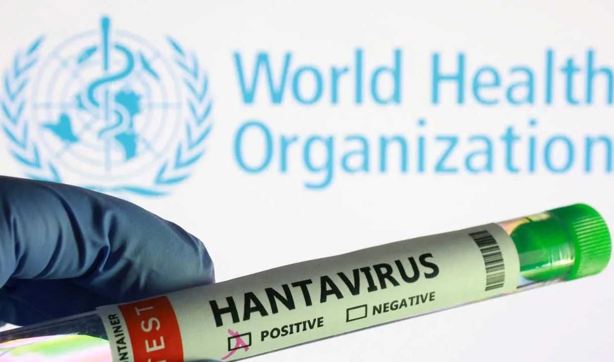 Berita Terpopuler Pekan Ini: Dari Penyebaran Hantavirus hingga Penggunaan Teknologi Hidrotermal untuk Mengolah Sampah Organik