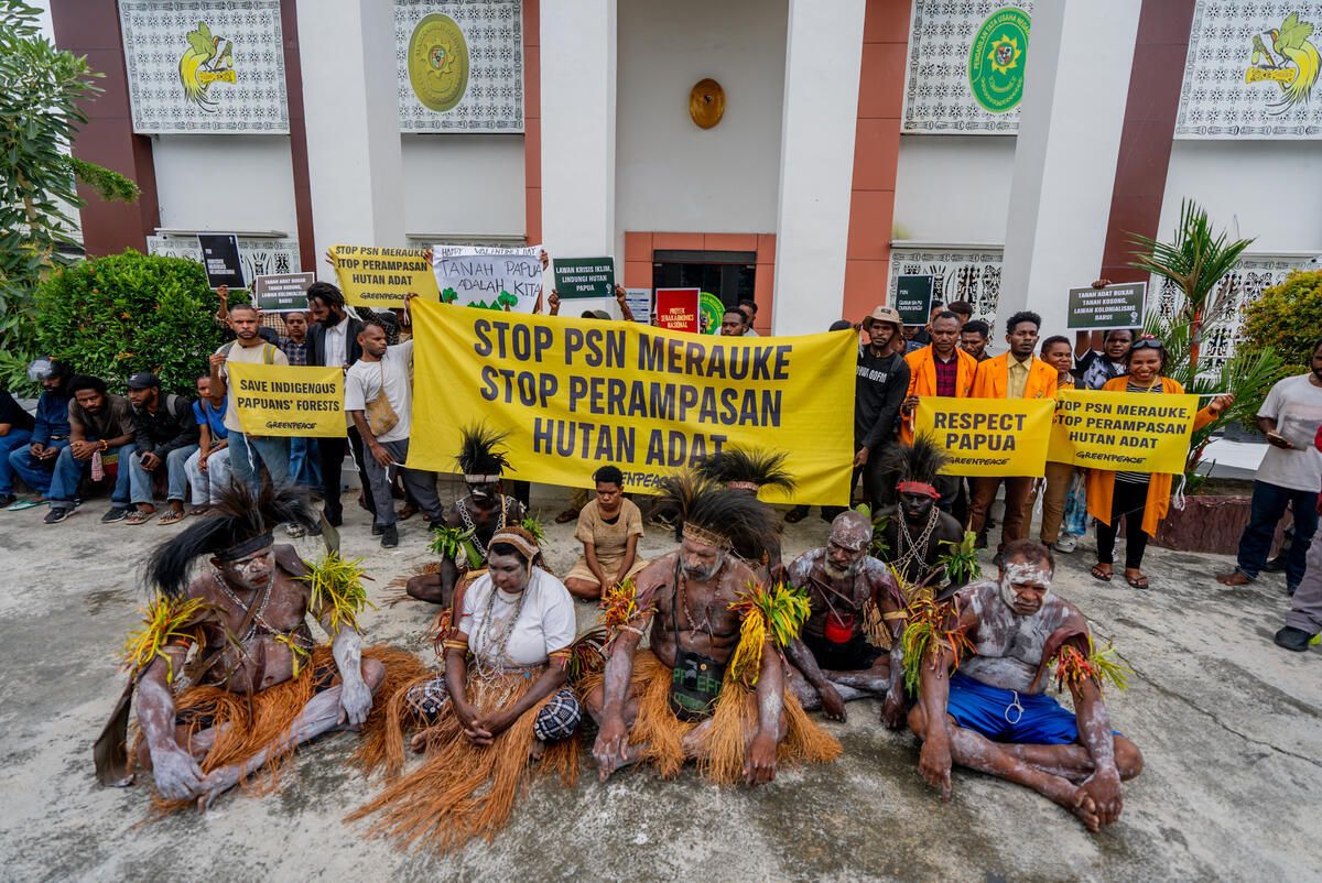 Masyarakat Adat Malind Gugat Izin Proyek Pembangunan Jalan 135 Km di Merauke