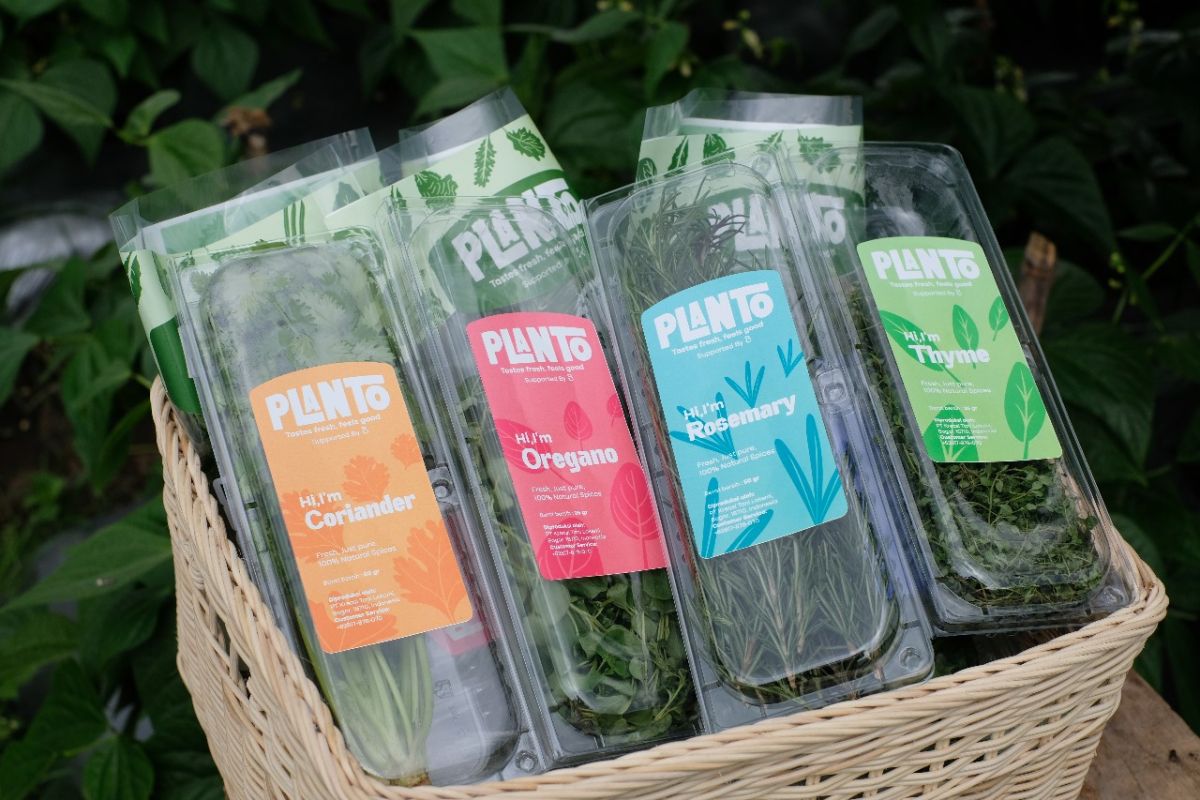 PLANTO, Produk Baru Sayurbox yang Lebih Ramah Petani