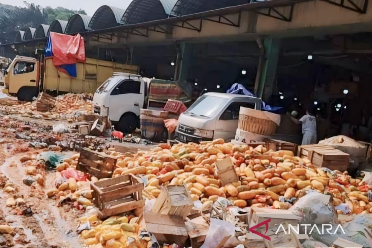 Harga Anjlok, Puluhan Ton Buah Pepaya Dibuang Para Pedagang