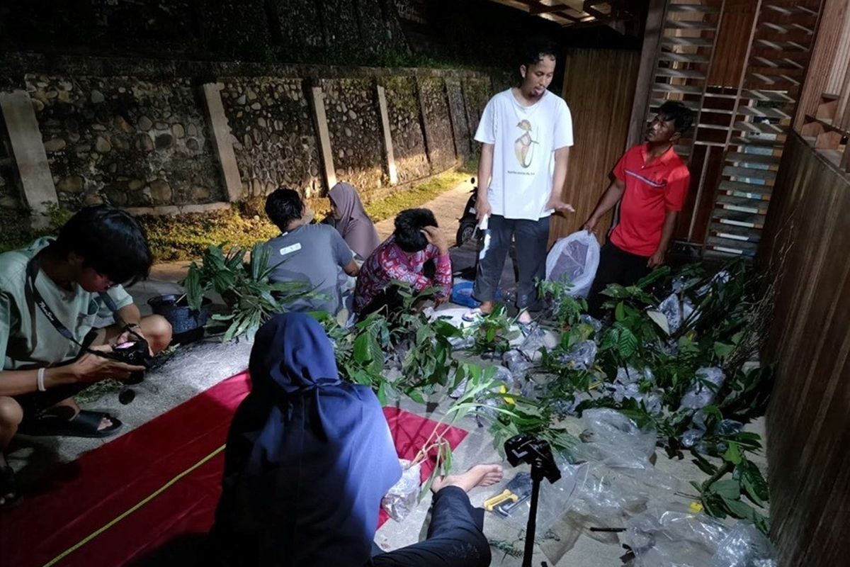 Eksplorasi di Taman Nasional Kerinci Seblat Temukan 100 Jenis Tumbuhan Langka