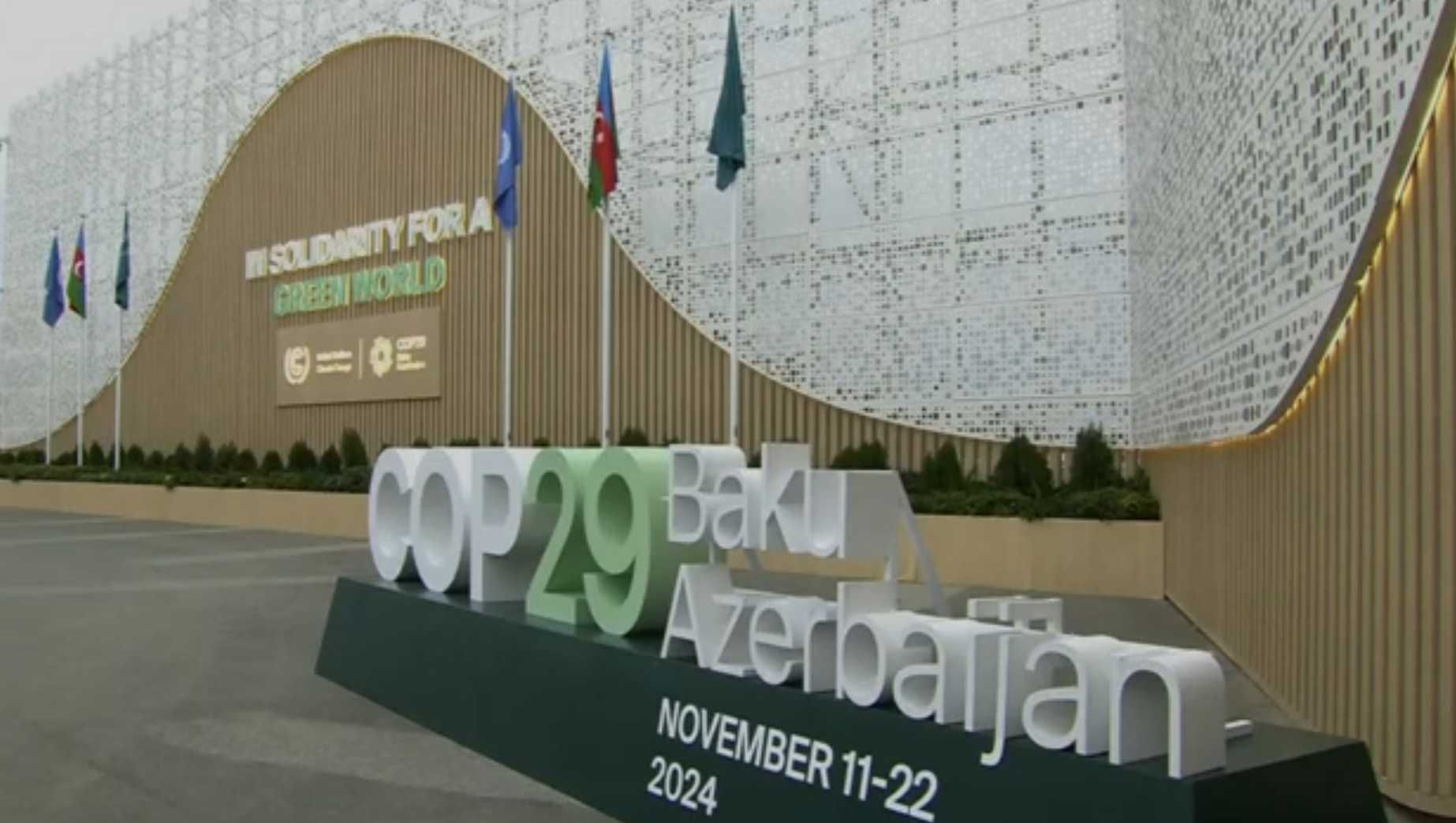 COP 29: Pegiat Lingkungan Tanggapi Positif Pernyataan Kelompok G20 Soal Aksi Iklim
