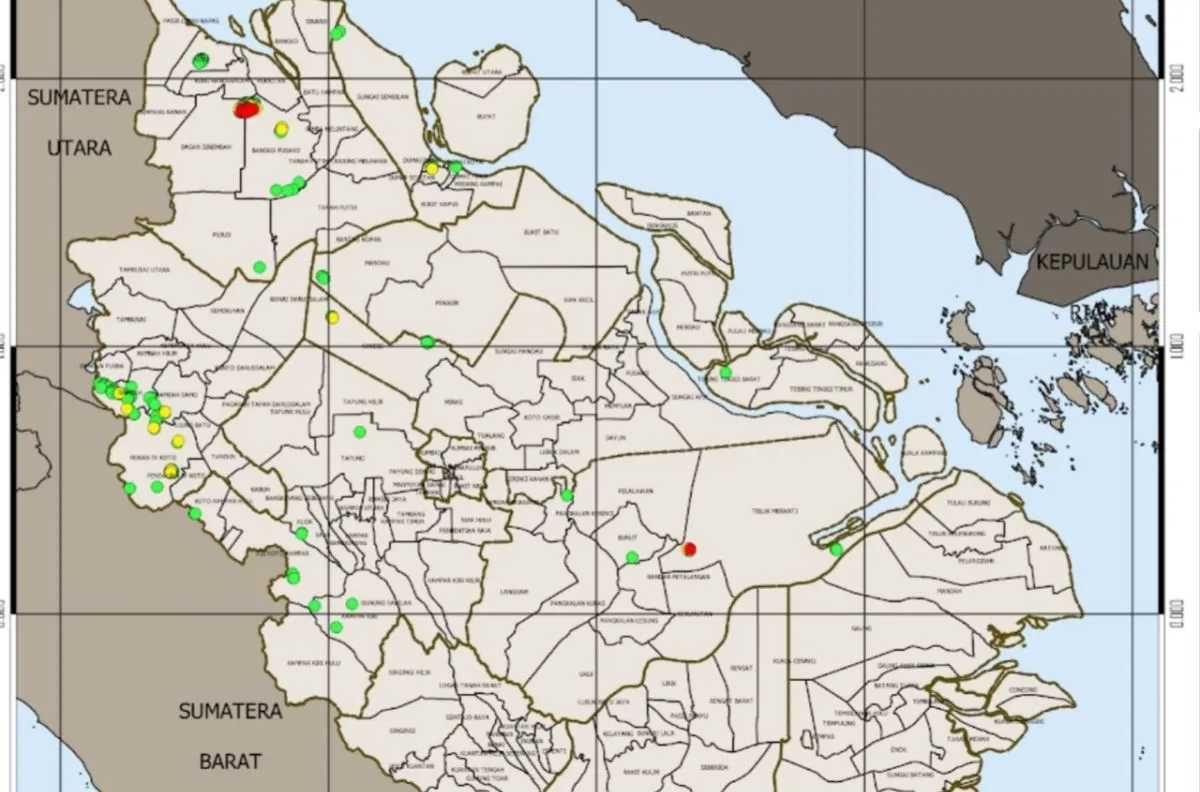 WALHI Riau Ungkap Sejumlah Kebakaran Hutan Berulang di Tanah Konsesi