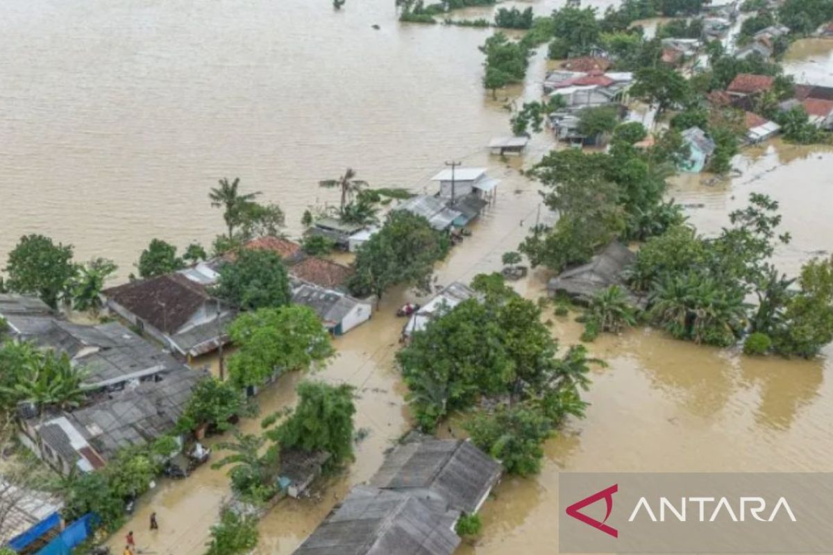 WALHI: Banjir Berulang di Pulau Jawa Jadi Bukti Negara Gemar Mereproduksi Bencana