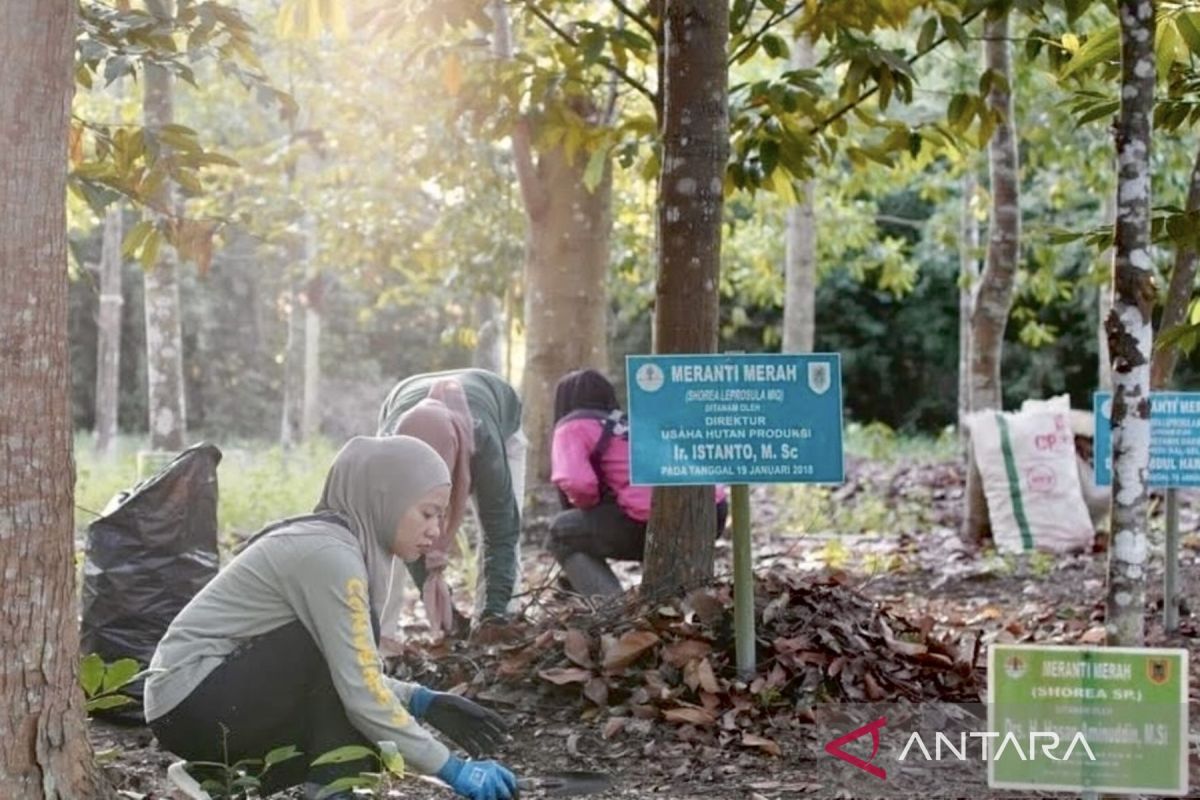 Pengelolaan Taman Hutan Tropis dengan Penerapan Prinsip Ekonomi Sirkular