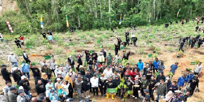 Perkuat Ekosistem di IKN, KLHK Tanam 224 Bibit Pohon