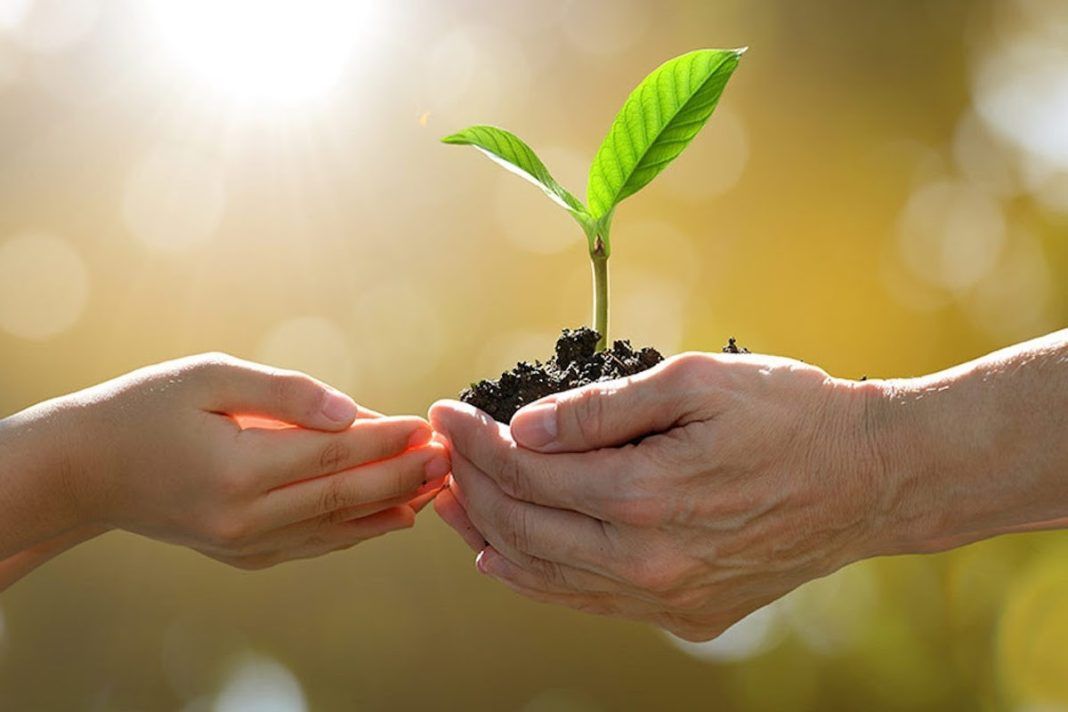 Sistem Agroforestri: Berdayakan Petani dengan Memanfaatkan Hutan Secara Berkelanjutan