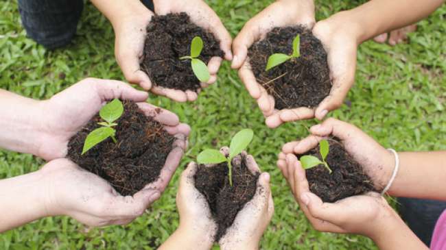 Laporan Tahunan UNEP Sebut Masalah Utama Lingkungan Belum Terurai