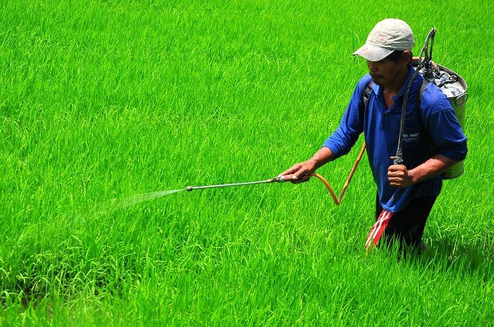 Dampak Perubahan Iklim Pada Sektor Pertanian: Pentingnya Pengelolaan Kesuburan Lahan Pertanian