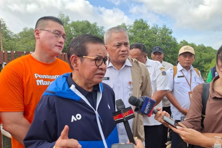 Pramono Anung Serius Wujudkan Giant Mangrove Wall untuk Atasi Abrasi di Pesisir Utara Jakarta