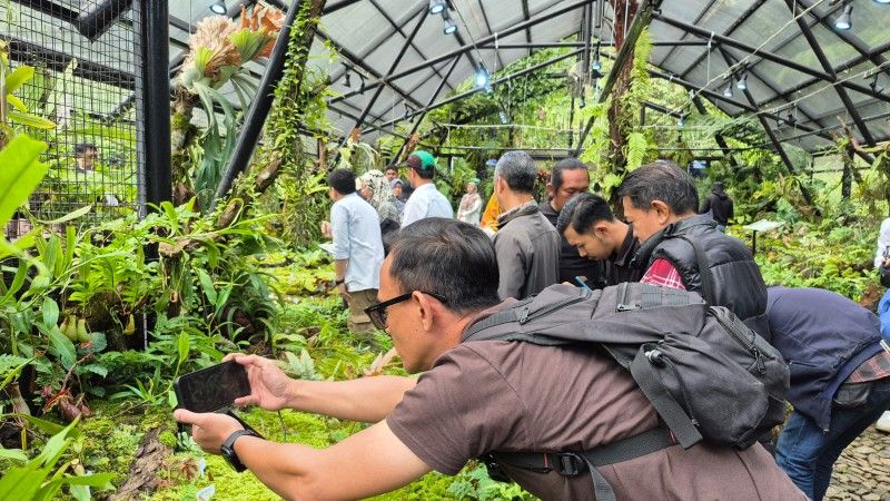 Jelang 174 Tahun Kebun Raya Cibodas: Mengukuhkan Diri Sebagai Salah Satu Pusat Konservasi Keanekaragaman Hayati