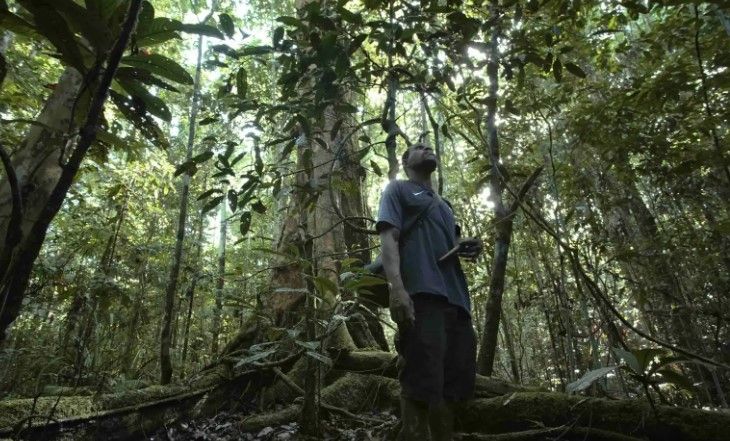 Saat Masyarakat Adat Kesulitan Mengakses Pendanaan iklim, Dua Organisasi Ini Coba Hadir Menjembatani