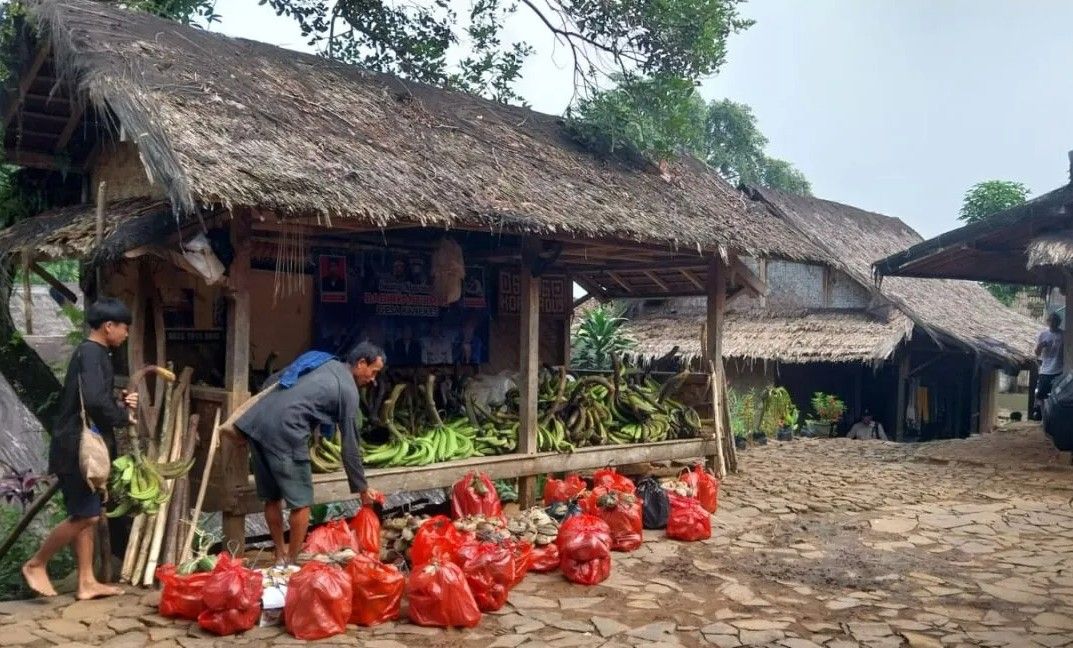 Warga Badui Turun Gunung untuk Ikuti Tradisi Seba