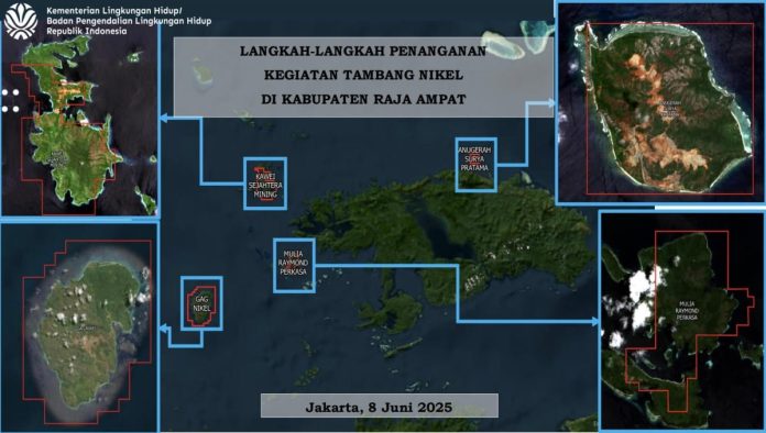 Ratusan Hektare Hutan di Raja Ampat Rusak Akibat Tambang Nikel, DPR Ingatkan Pemulihan Lingkungan