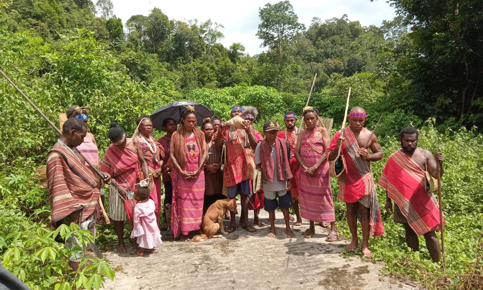 Masyarakat Adat Tehit Gelar Ritual Sakral Mendesak Negara Kembalikan Hutan Adat Mereka