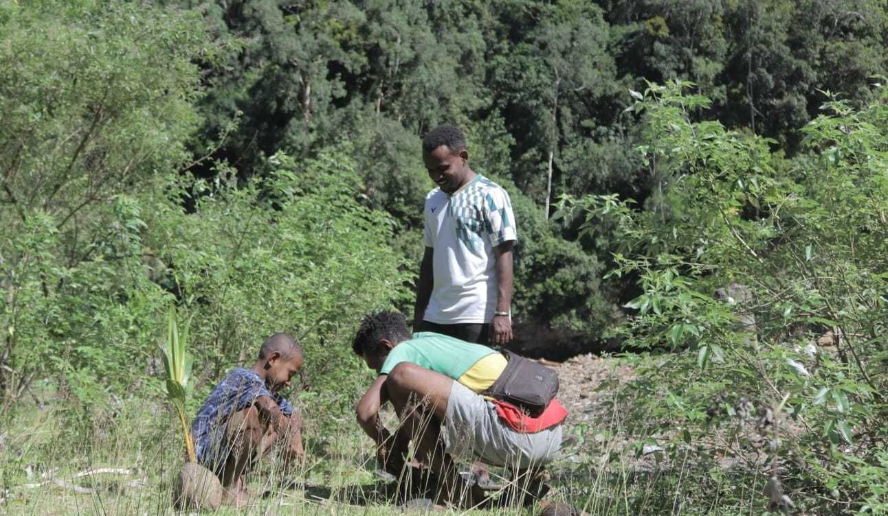 Aksi Iklim Dari Kampung untuk Kampung: Upaya Pemuda Adat Domberai Menjaga Hutan Adatnya