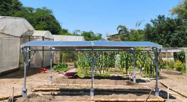 Tingkatkan Produktivitas Lahan Pertanian, UGM Kenalkan Pertanian Cerdas Lewat Teknologi Agrivoltaic
