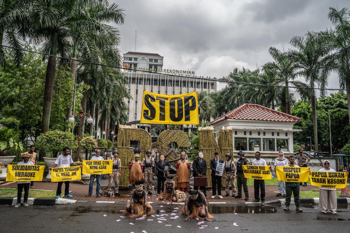 Greenpeace bersama Masyarakat Adat Gelar Aksi Damai Mengkritik PSN Tebu di Merauke