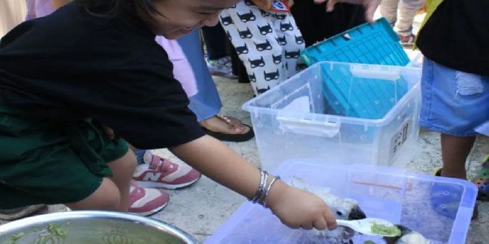 Begini Cara Anak-anak Komunitas Teman Manise Tumbuhkan Sikap Peduli Terhadap Satwa Liar