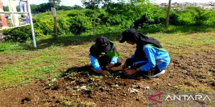 Atasi Masalah Sampah, Pemkab Jember Gelar Aksi Tukar Sampah dengan Bibit Pohon