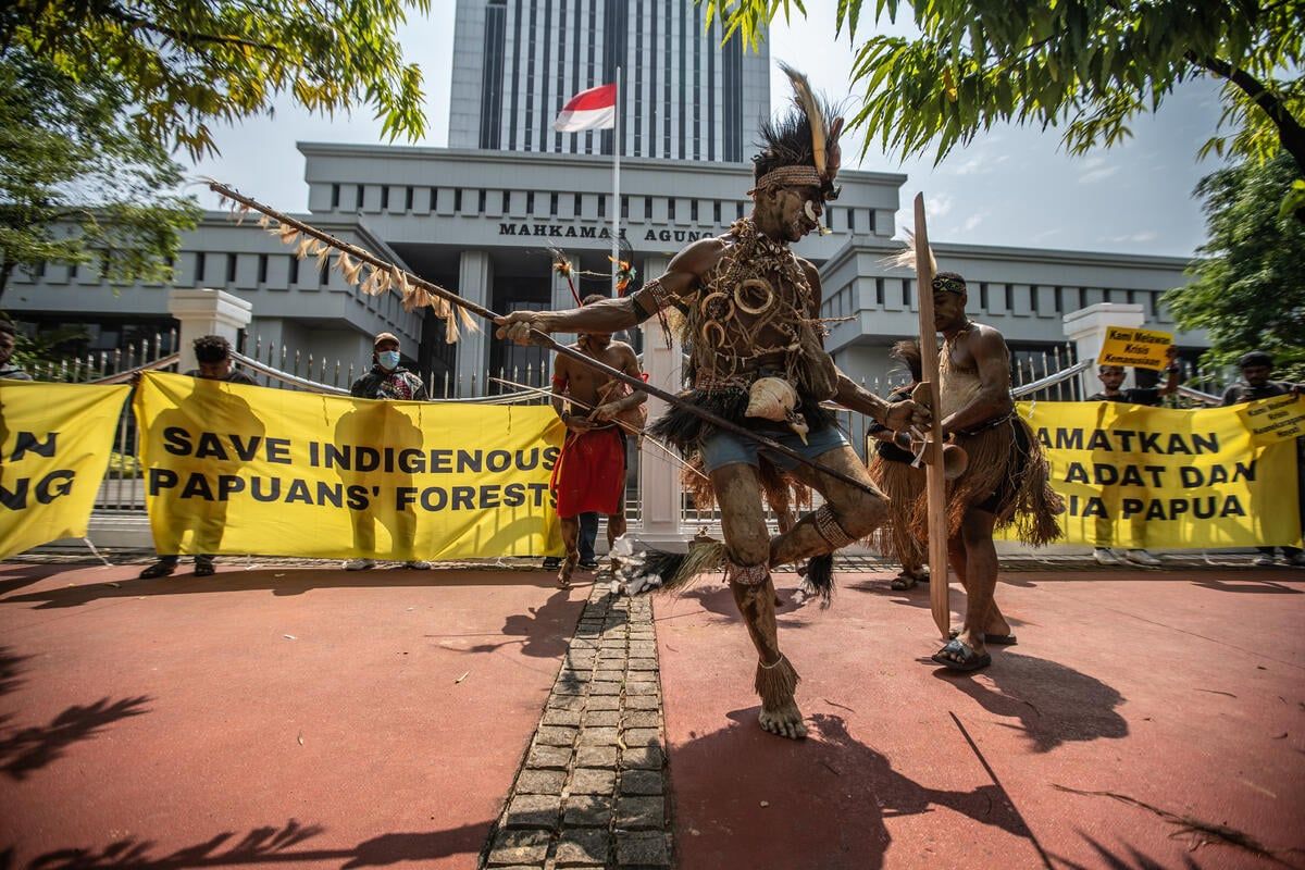 MA Tolak Kasasi Suku Awyu, Perjuangan Selamatkan Hutan Papua Semakin Berat