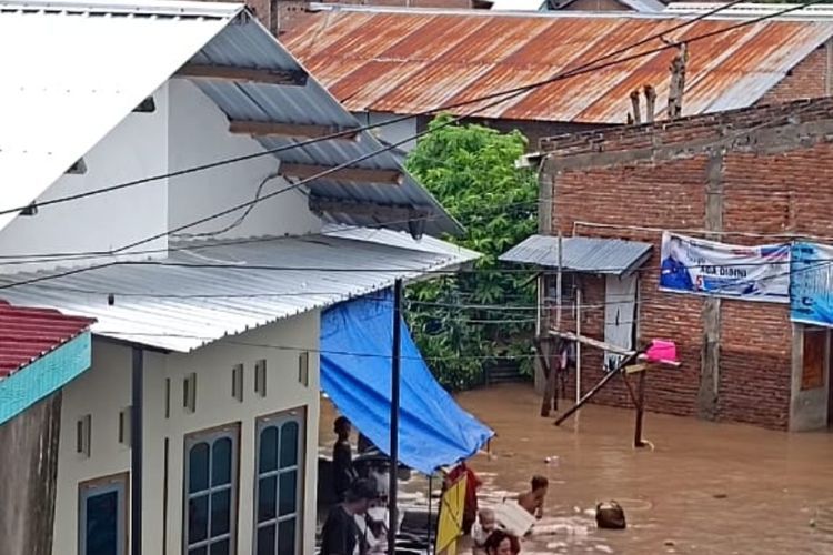 Alih Fungsi Hutan Menjadi Kebun Jagung Picu Banjir di Sumbawa
