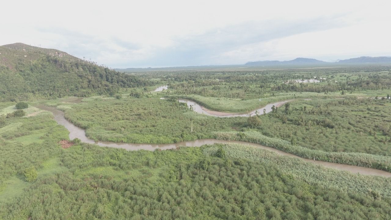 WALHI: Hutan di Aceh dan Sumatera Utara dalam Kondisi Darurat Ekologis Akibat Masifnya Deforestasi