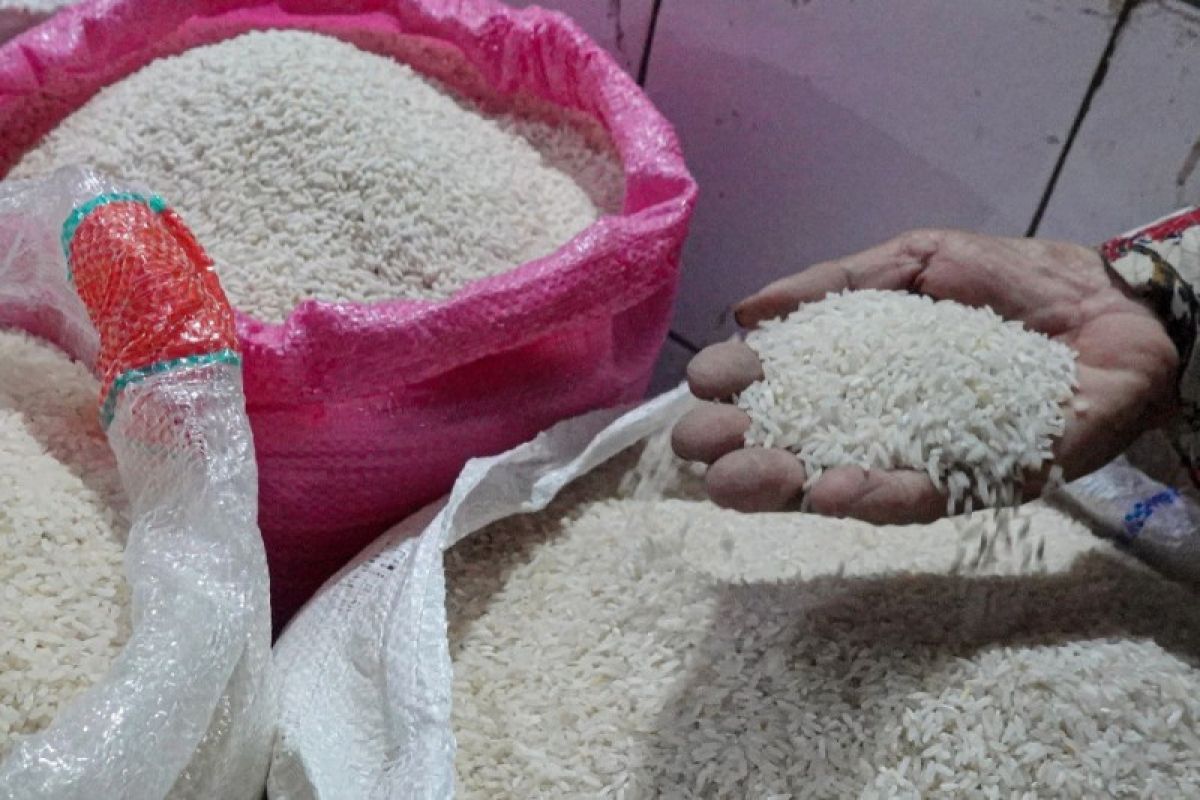 Meski Banyak Sawah Gagal Panen, Pasokan Beras di bandung Relatif Aman