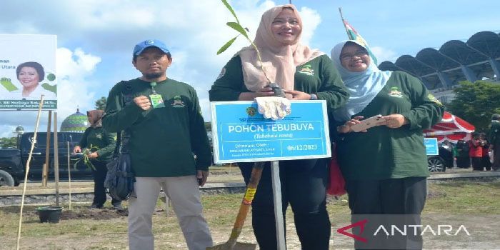 KLHK Siapkan Lebih dari Dua Ribu Bibit Pohon untuk Refleksi Akhir Tahun