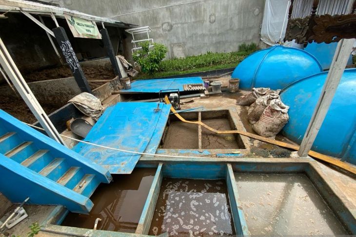 Pengolahan Limbah Peternakan Sapi di Cikoko, Jakarta Selatan Jadi Contoh Peternakan Perkotaan