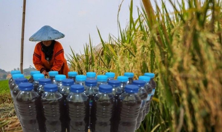 Pupuk Organik Penting untuk Pemulihan Lahan, Tapi Baru Sebagian Kecil Petani yang Menggunakannya