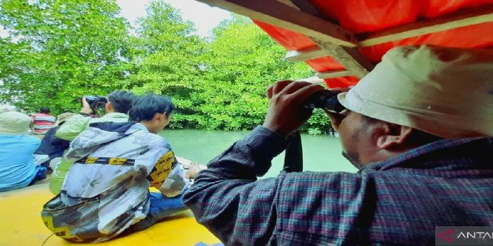 Bantu Pelestarian Satwa, Burung Indonesia Gelar WMBD 2023 di Gorontalo