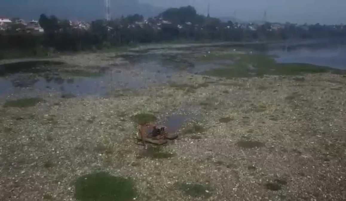 Atasi Pulau Sampah di Aliran Sungai Citarum, Pemprov Jabar Kerahkan Alat Berat