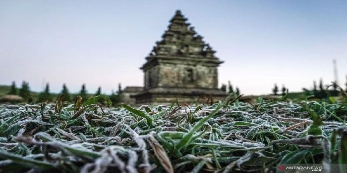 Tak Hanya Pada Manusia, Fenomena Bediding Juga Berdampak Pada Pertanian dan Peternakan
