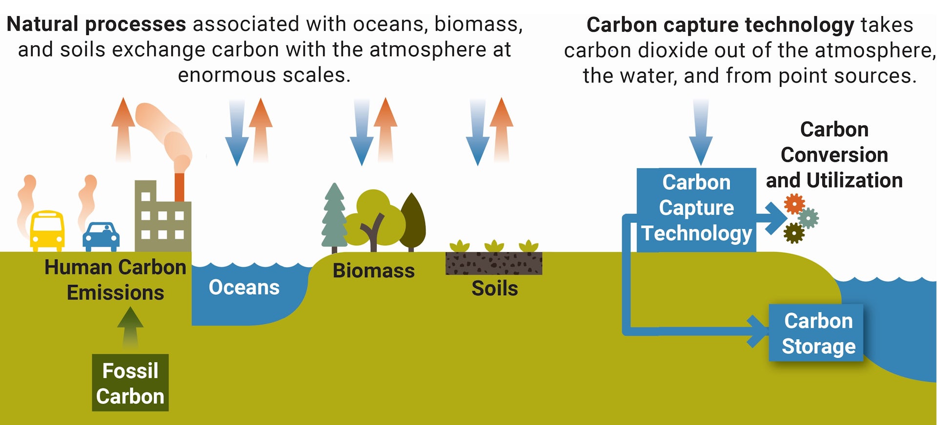 Mengenal Carbon Capture Storage yang Seharusnya Ditanyakan di Debat Cawapres Mendatang