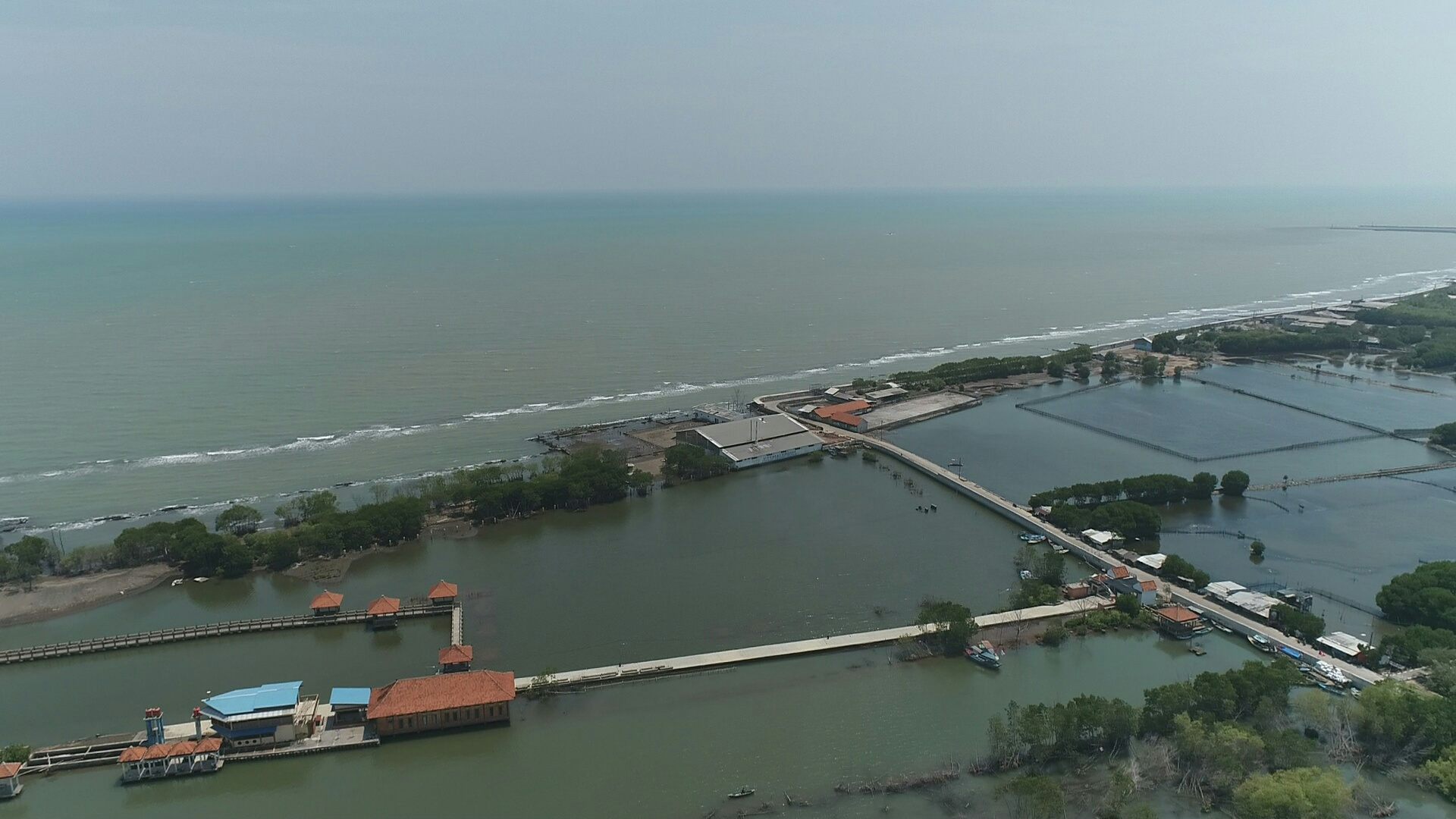Penjelasan Mengapa Tembok Laut Tak Akan Menyelesaikan Abrasi di Pesisir Utara Jawa