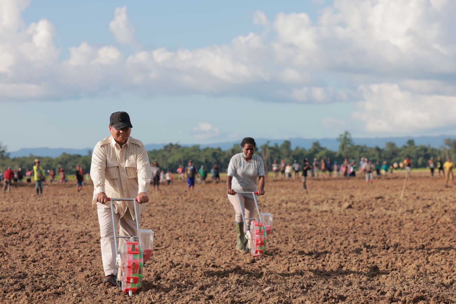 Setahun Prabowo-Gibran: Mengulang 3 Dekade Kegagalan ‘Food Estate’