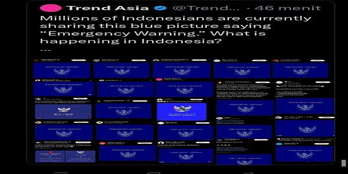 Viral Peringatan Darurat Indonesia Garuda Biru, Ini Artinya