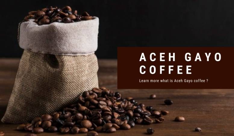 Tantangan Petani Kopi Gayo: Perubahan Iklim hingga Kurangnya Dukungan Pemerintah
