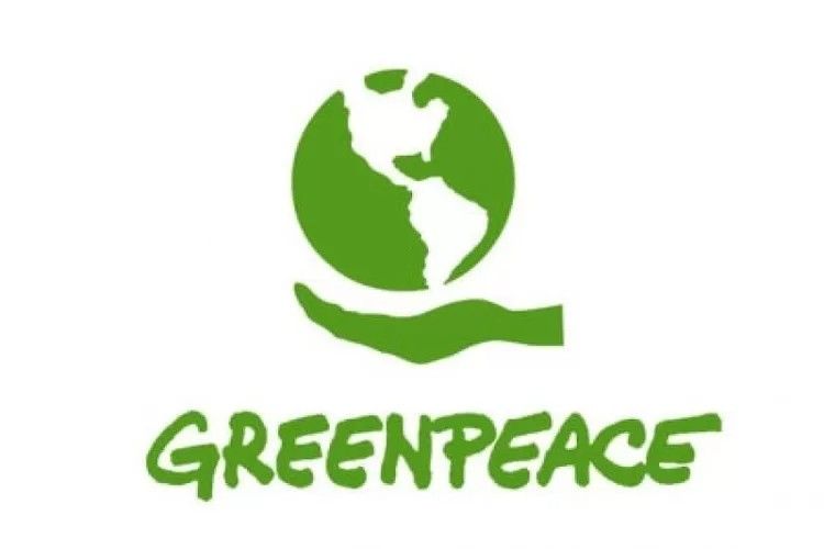 Greenpeace Indonesia Sampaikan Sejumlah Catatan Terkait Permen LHK Soal Pejuang Lingkungan