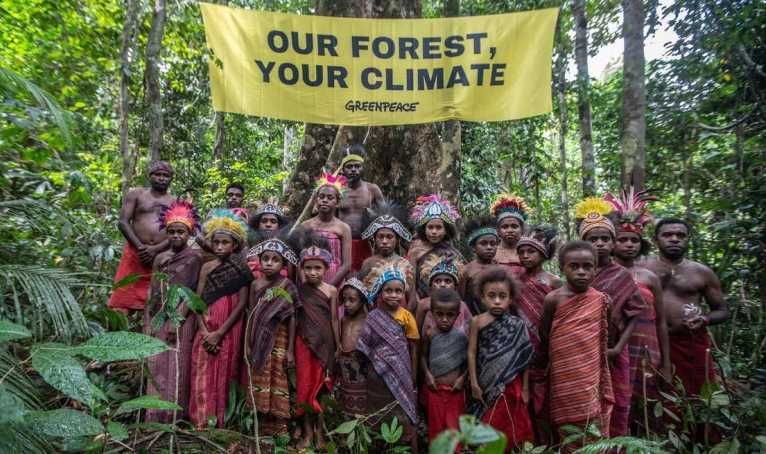 PDI Perjuangan: Dana Perdagangan Karbon Jangan Berhenti di Pusat Harus Kembali untuk Jaga Hutan