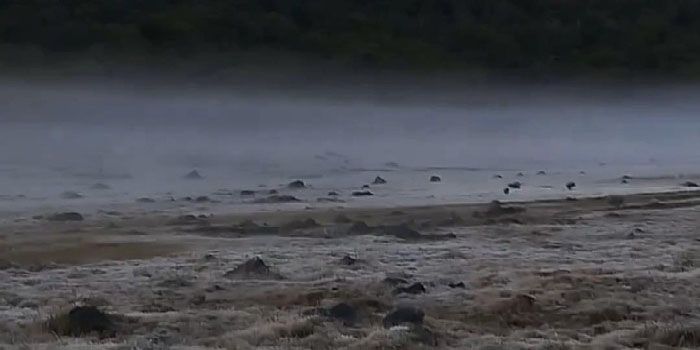 Suhu Udara Dingin Landa Kawasan Gunung Gede, Pendaki Diimbau Waspada