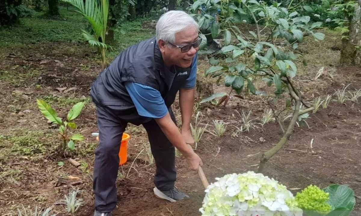 Ratusan Bibit Pohon Alpukat Hass Hijaukan Daerah Hulu Sungai Brantas