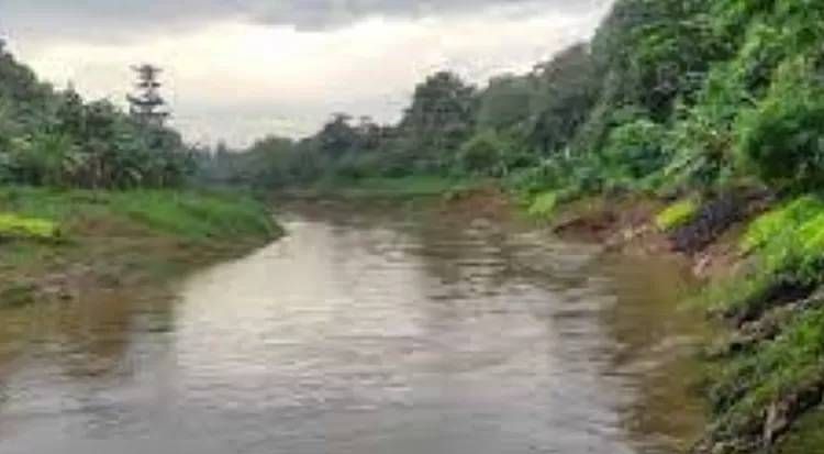 KLH Temukan Luas Agrowisata di Puncak Tak Sesuai Dokumen Lingkungan