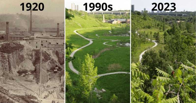 Kisah Sukses Toronto Mengubah Lahan Bekas Tambang Menjadi Hutan Kota yang Hijau
