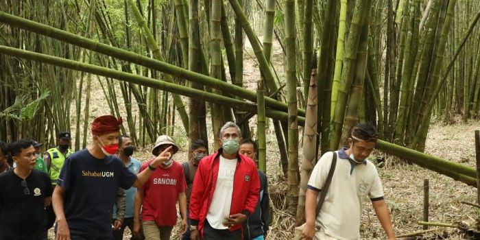 Indonesia Banyak Hutan Bambu, Alternatif Bahan Baku Industri Ditengah Krisis Kayu
