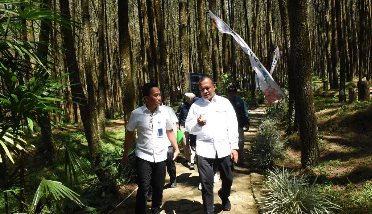 DPR: Penyelenggaraan Kehutanan Sosial di Taman Nasional Merbabu Belum Optimal